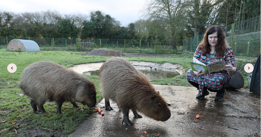 Shrewsbury Library to host special book reading with zoo owner and local author